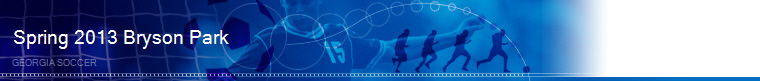 Spring 2013 Bryson Park banner